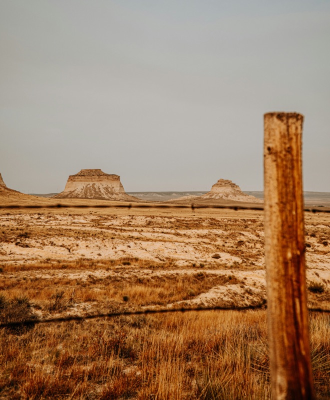 Eastern Plains Colorado wheat fields